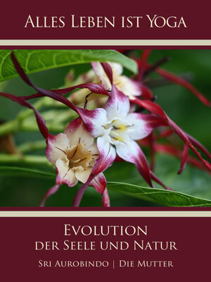 cover image of Die Evolution der Seele und Natur